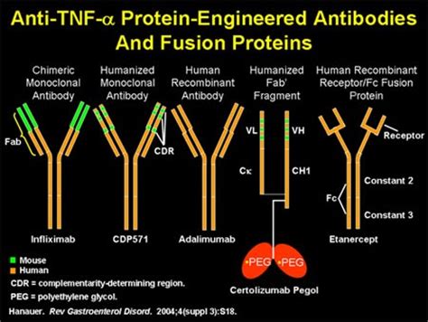 Nephrology World: TNF alpha inhibitors and the Kidney