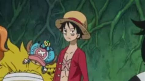 How Did Luffy Get His Scars In One Piece?