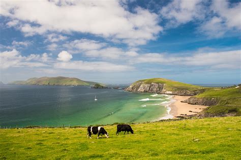 Dingle Peninsula travel - Lonely Planet