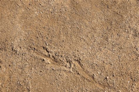 Land Texture Images - Free Download on Freepik