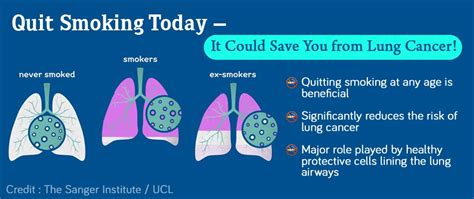 Smokers Lungs After Quitting Smoking