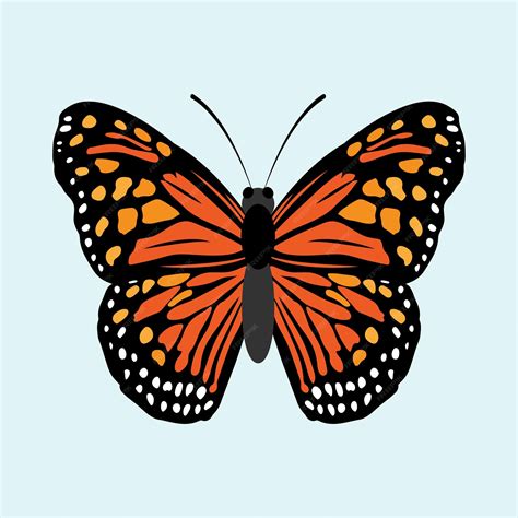 Premium Vector | Monarch butterfly vector