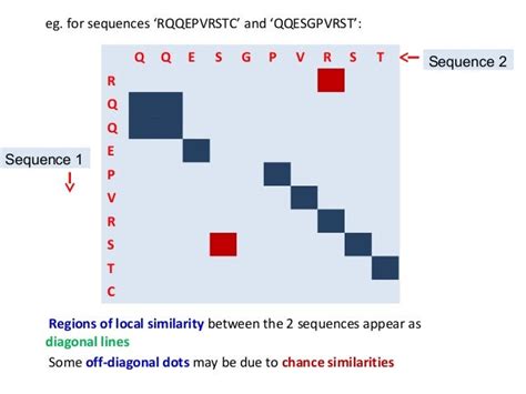 Dotplots for Bioinformatics