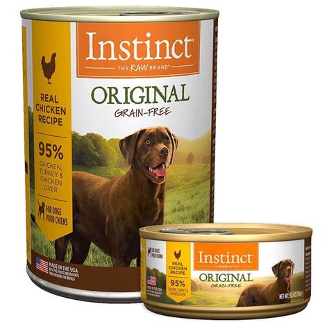 Tips for Choosing Best Dog Food Brands | Pets Nurturing