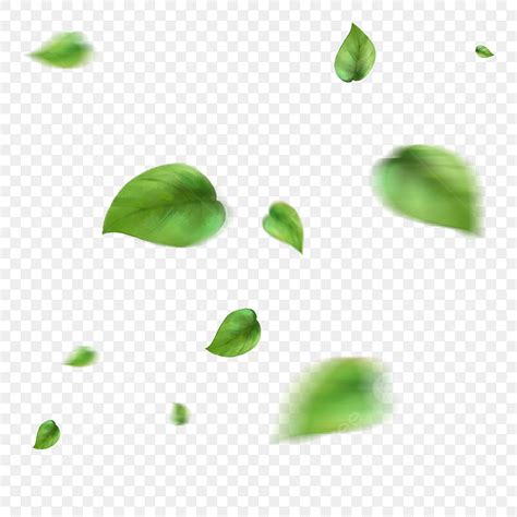 Green Floating Leaves PNG Image, Floating Yellow Green Leaves Material ...