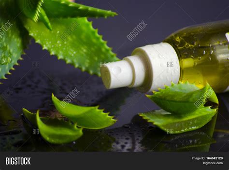 Beauty Products Spa Image & Photo (Free Trial) | Bigstock