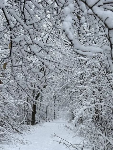 Major Winter Storm Sweeps New England, Another Looms