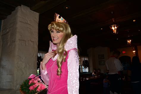 Princess Dining at Akershus Royal Banquet Hall in Norway at Epcot ...