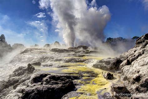 Pohutu Geyser, Te Puia, Rotorua | New zealand, Rotorua, Places to visit