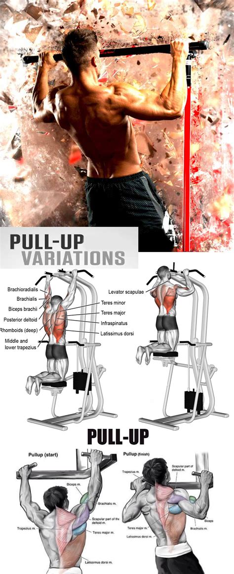 PULL-UP VARIATIONS