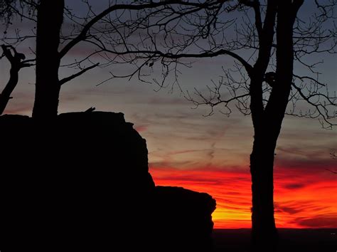 Free Images : tree, nature, forest, rock, wilderness, branch ...