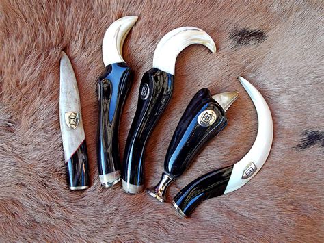 Warthog Tusks (14) – Namibian Hardwood (Pty) Ltd