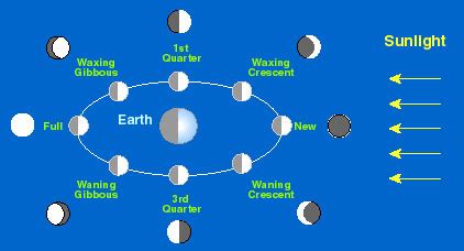 Orbit and Phases of the Moon