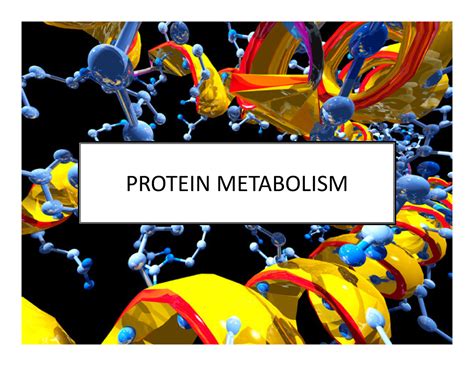 NUTR3210 Proteins Part1 - PROTEIN METABOLISM • Time to make groups for ...