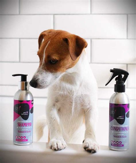 DERMANATURAL - Organic Dog Grooming Products | Dotty4Paws