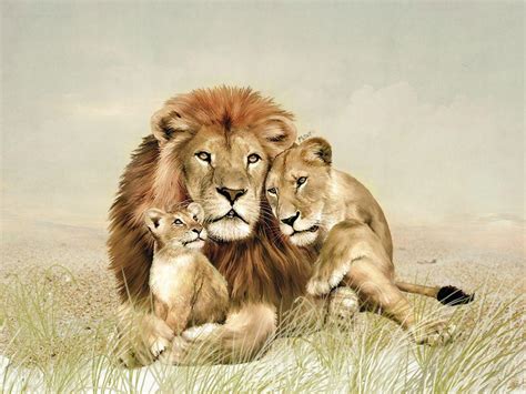 Family Animal Wallpapers - Top Free Family Animal Backgrounds ...