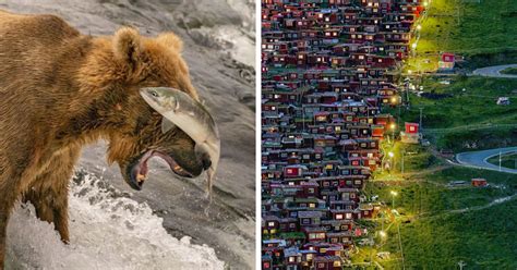 26 Breathtaking Winning Pictures Of This Year's National Geographic's ...