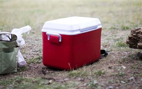 How To Pack a Cooler with Dry Ice - Penguin Brand Dry Ice®