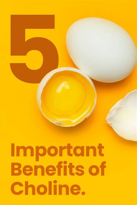 5 Important Benefits of Choline in 2022 | Brain nutrition, Inositol ...