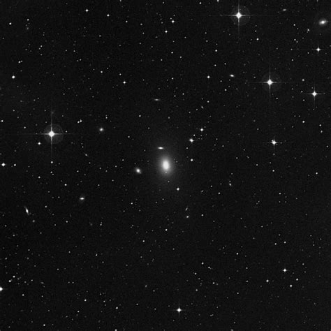 NGC 1600 - Elliptical Galaxy in Eridanus | TheSkyLive.com