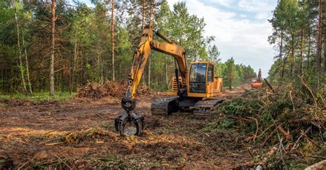 A Guide to Efficient Forestry Clearing: Top Tools and Tricks | Rut Mfg