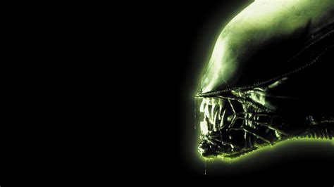 Alien 1979 Wallpapers - Top Free Alien 1979 Backgrounds - WallpaperAccess