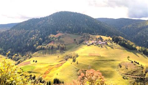 Serbian Adventures - Private Tour: Mountain Zlatibor – Mountain Zlatar ...