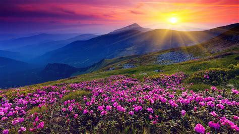 Colorful Autumn Sunrise In The Carpathian Mountains Wallpaper