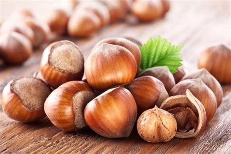 Hazelnut Oil for Skin, Moisturizes and Balances Natural Oils