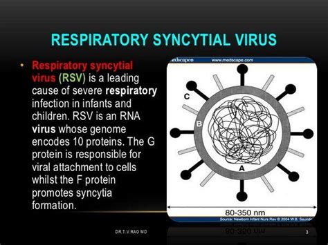 Respiratory Syncytial Virus - Viral Infections - AntiinfectiveMeds.com