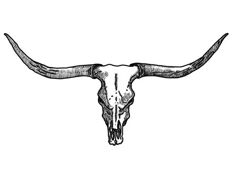 Free Bull Skull Png, Download Free Bull Skull Png png images, Free ...