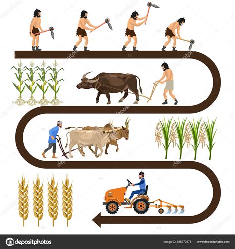 History of agriculture Stock Vector by ©newgena 186973576