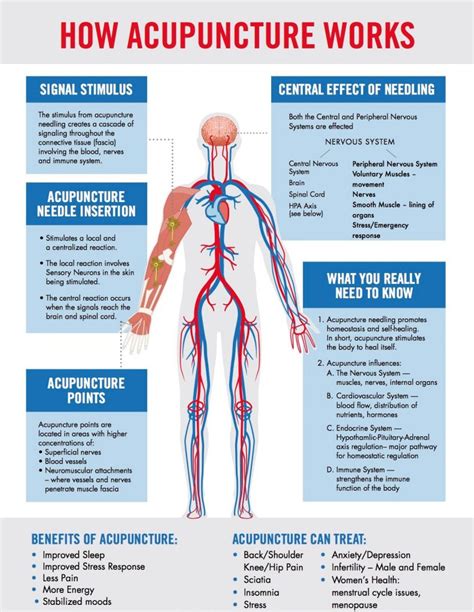 Electroacupuncture - Gainesville Acupuncture & Holistic Medicine