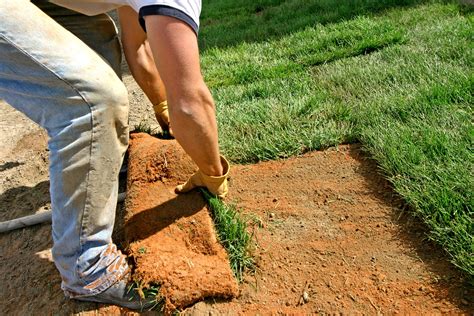 How to Lay Sod to Start a New Lawn