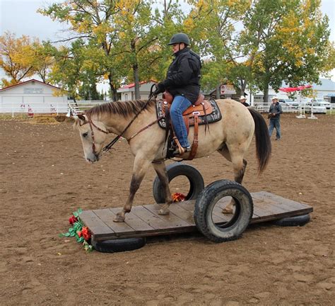 Trail Horse Challenge Photos - Trail Horse Challenge