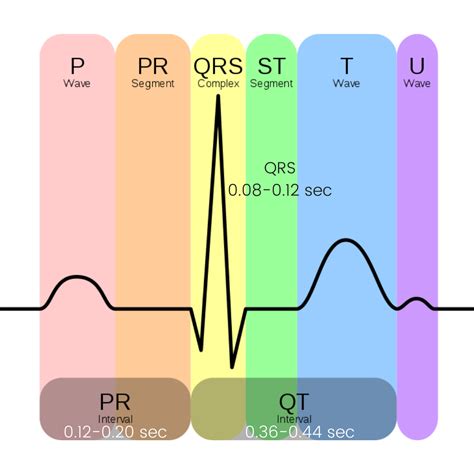 EKG Cardiac Help: Understanding QT Interval and Medication Risks