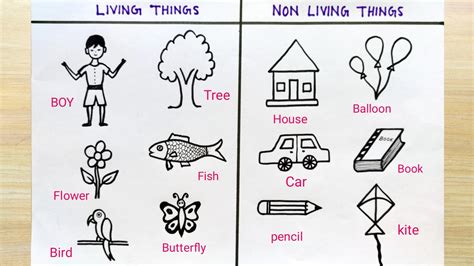 How to sketch of living and non-living things| Living things sketch ...