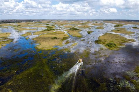 How Do Wetlands Help Mitigate Climate Change Impacts | Outrider