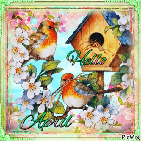 Spring Bird Hello April Gif Pictures, Photos, and Images for Facebook ...