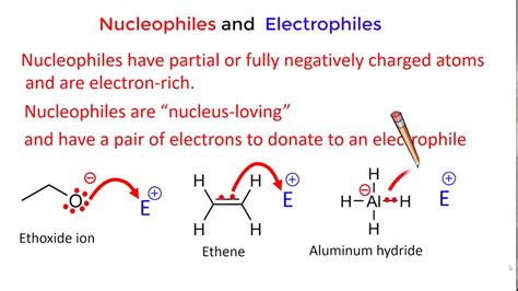 Nucleophile And Electrophile