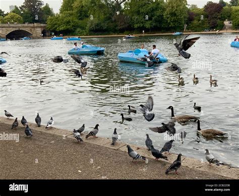 Kensington Gardens, London, United Kingdom Stock Photo - Alamy