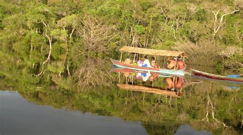 Parc national de Jaú : Amazonas - Visites & Activités | Expedia.fr