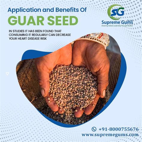 application-and-benefits-of-guar-seed