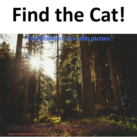 Can you find the cat? - en.viata.me