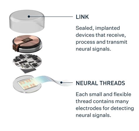 FDA gives Neuralink the green light - gHacks Tech News