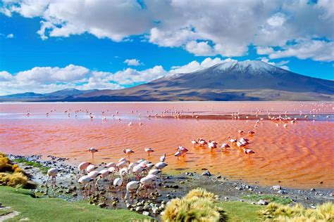 What to Do When Visiting Salar de Uyuni, The Salt Flats of Bolivia