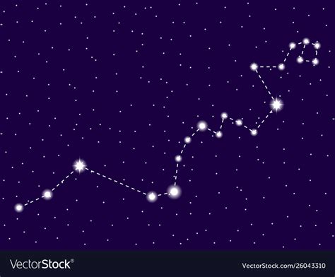 Hydra constellation starry night sky Royalty Free Vector