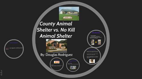 County Animal Shelter vs. No Kill Animal Shelter by Douglas Rodriguez