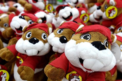 Florida, Georgia, North Carolina: Buc-ee's founder details U.S ...