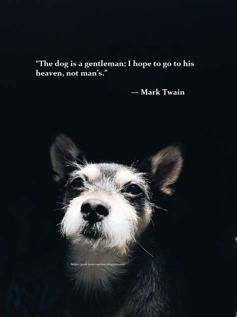 Dog Quotes Wallpapers - Wallpaper Cave